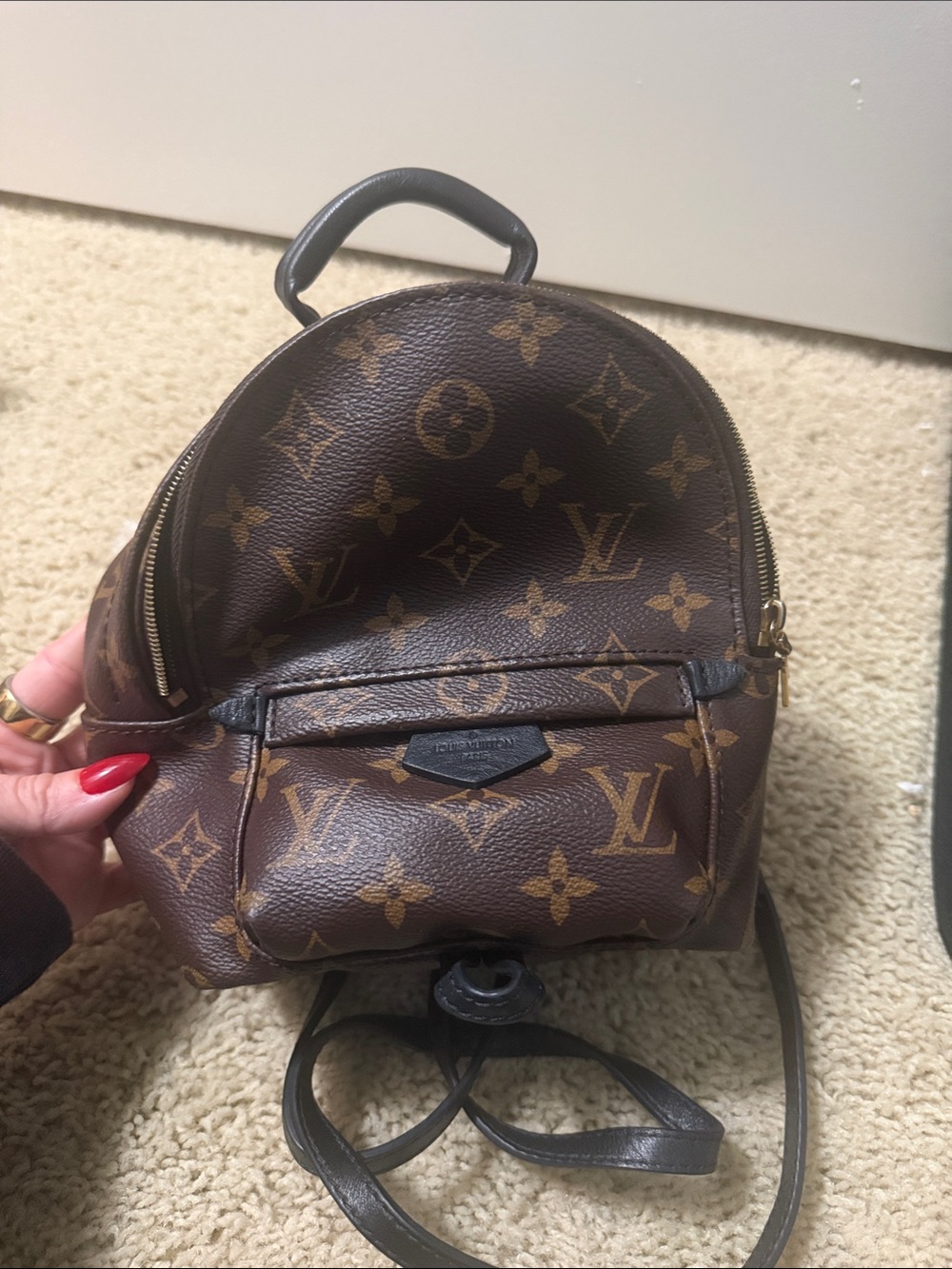LV mini palm backpack